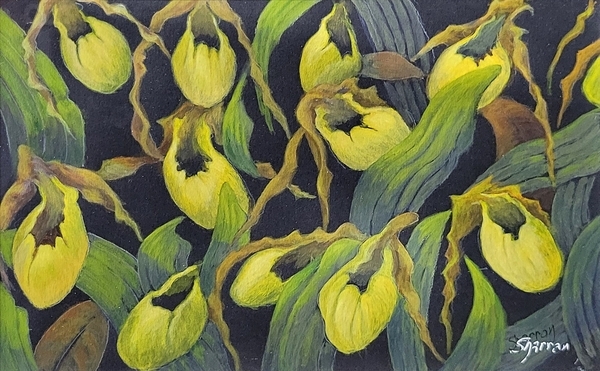 Lady Slippers